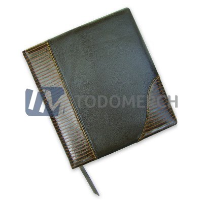 Agenda Ejecutiva Culebrilla